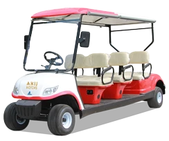 Golf Cart/Club Car
